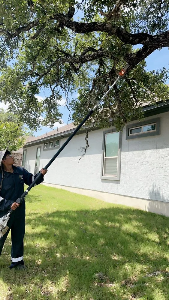 Professional landscape installation in Boerne, TX by Ramos Landscaping