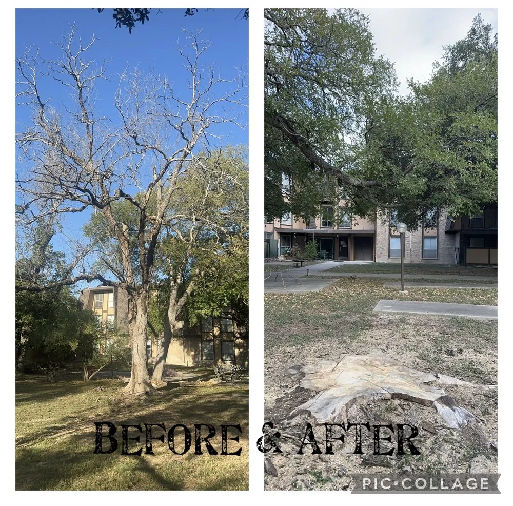 Professional landscaping services near you in Boerne, TX by Ramos Landscaping