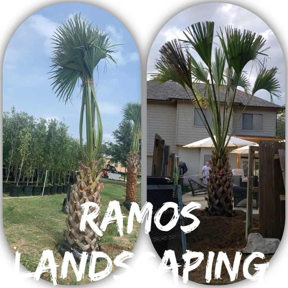 Professional lawn mowing service in Boerne, TX - Ramos Landscaping