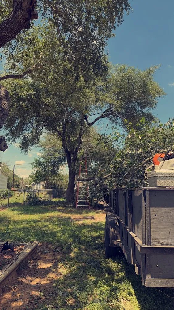 Affordable yard cleanup service with custom design in Boerne, TX by Ramos Landscaping