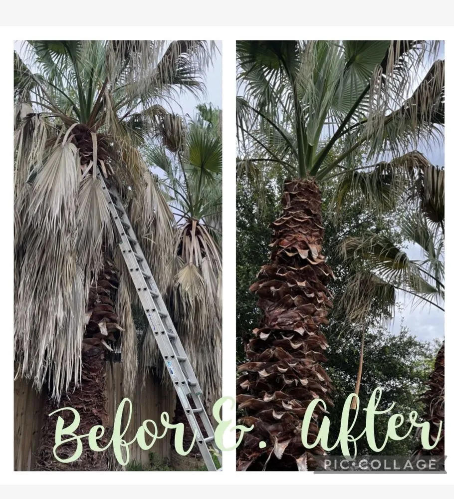 Local outdoor landscaping in Boerne, TX by Ramos Landscaping