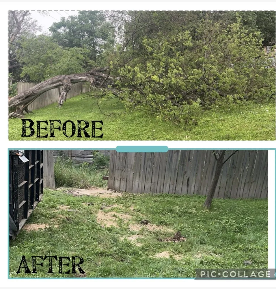 Professional yard cleanup service experts serving Boerne, TX - Ramos Landscaping