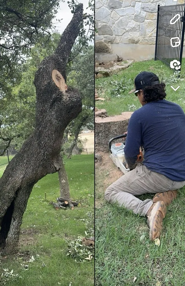 Trusted garden landscaping for homes across Boerne, TX - Ramos Landscaping