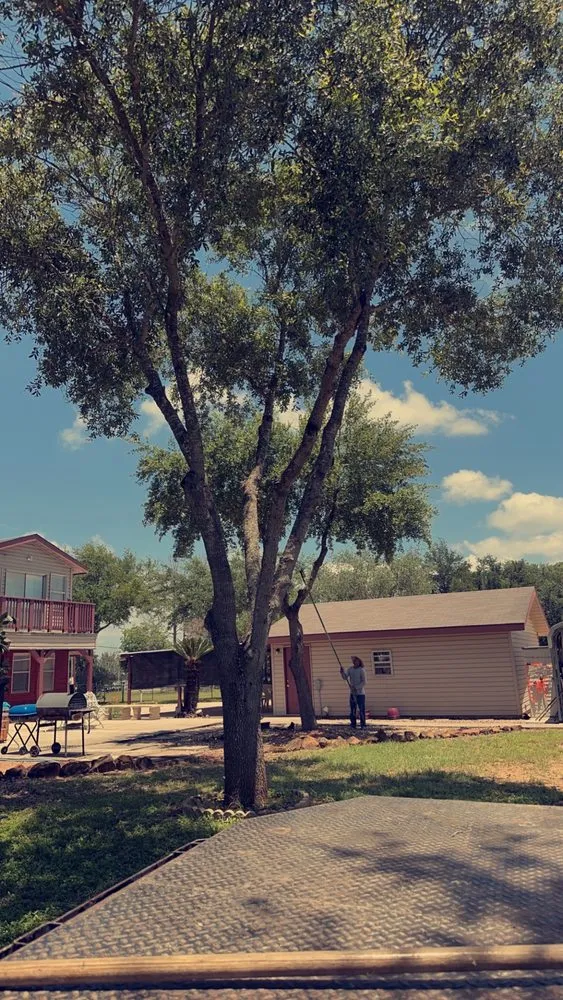 Reliable residential landscaping near you across Boerne, TX - Ramos Landscaping