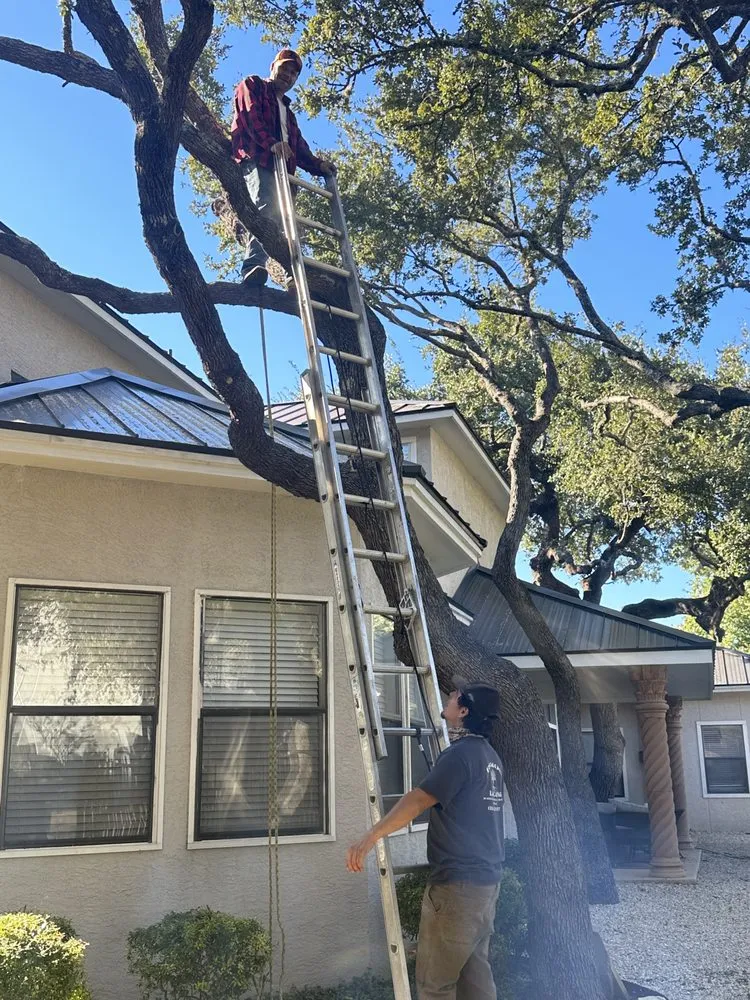 Local outdoor landscaping in Boerne, TX - Ramos Landscaping