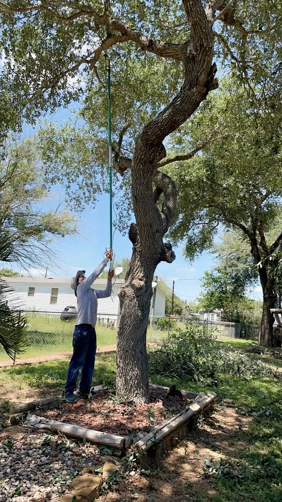 Affordable lawn care service experts serving Boerne, TX - Ramos Landscaping