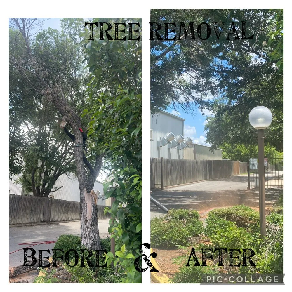 Top-rated outdoor landscaping experts serving Boerne, TX - Ramos Landscaping