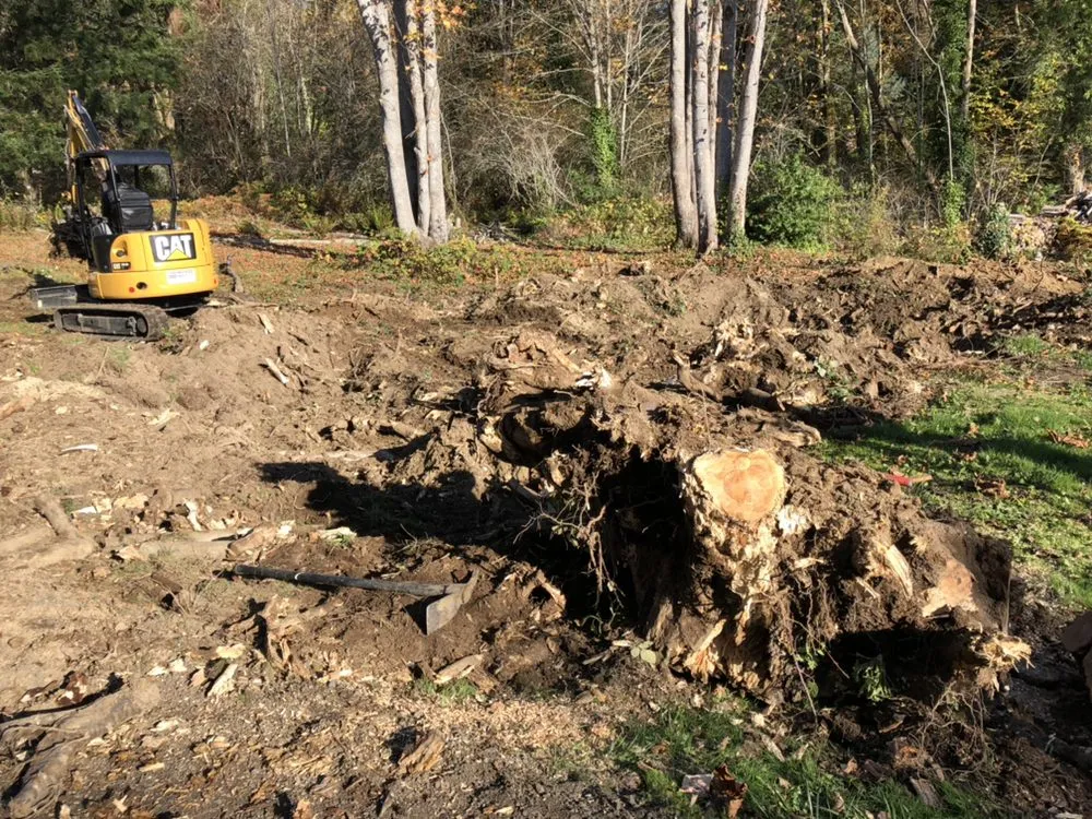 Professional lawn mowing service in Bremerton, WA by Ramos Landscaping