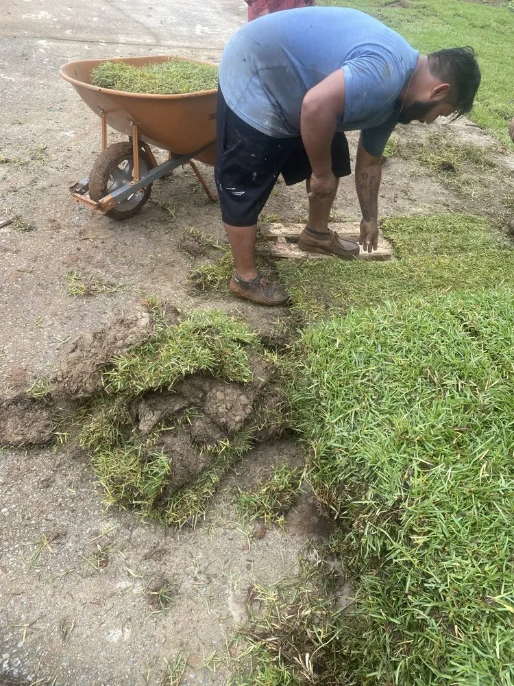 Expert yard maintenance in Carrollton, GA - Ramos Landscaping