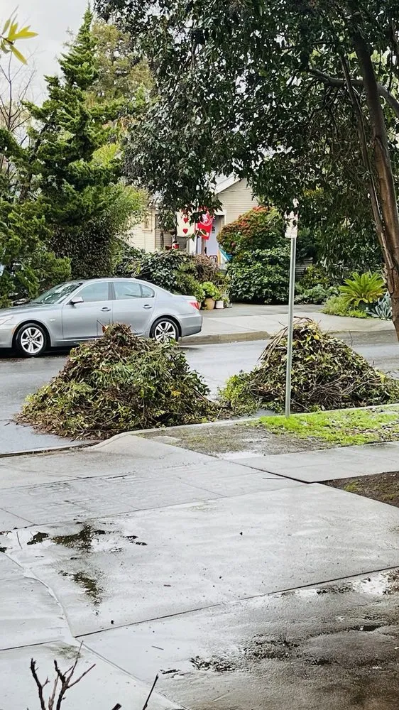 Local lawn care service for beautiful yards in San Jose, CA by Ramos Landscaping Contractor