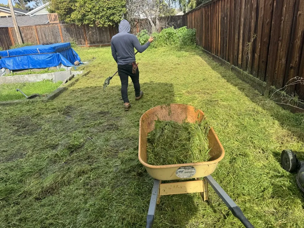 Local outdoor landscaping for outdoor upgrades across San Jose, CA - Ramos Landscaping Contractor