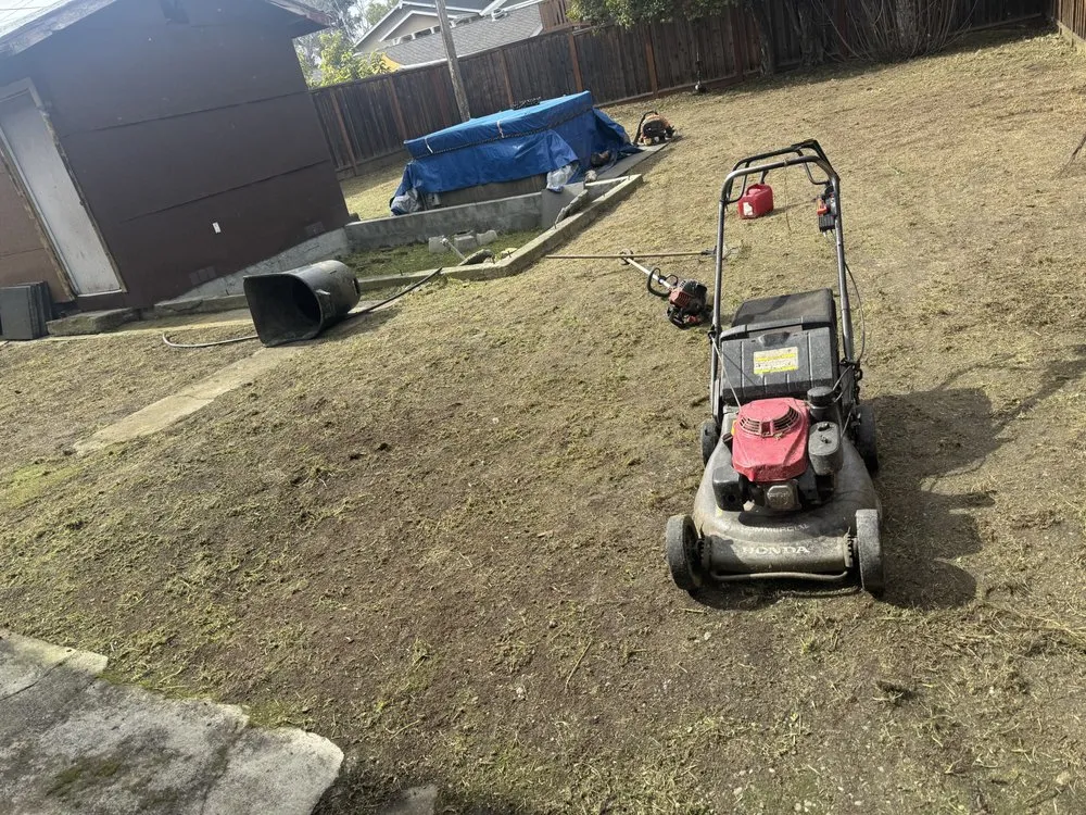 Professional yard maintenance in San Jose, CA by Ramos Landscaping Contractor