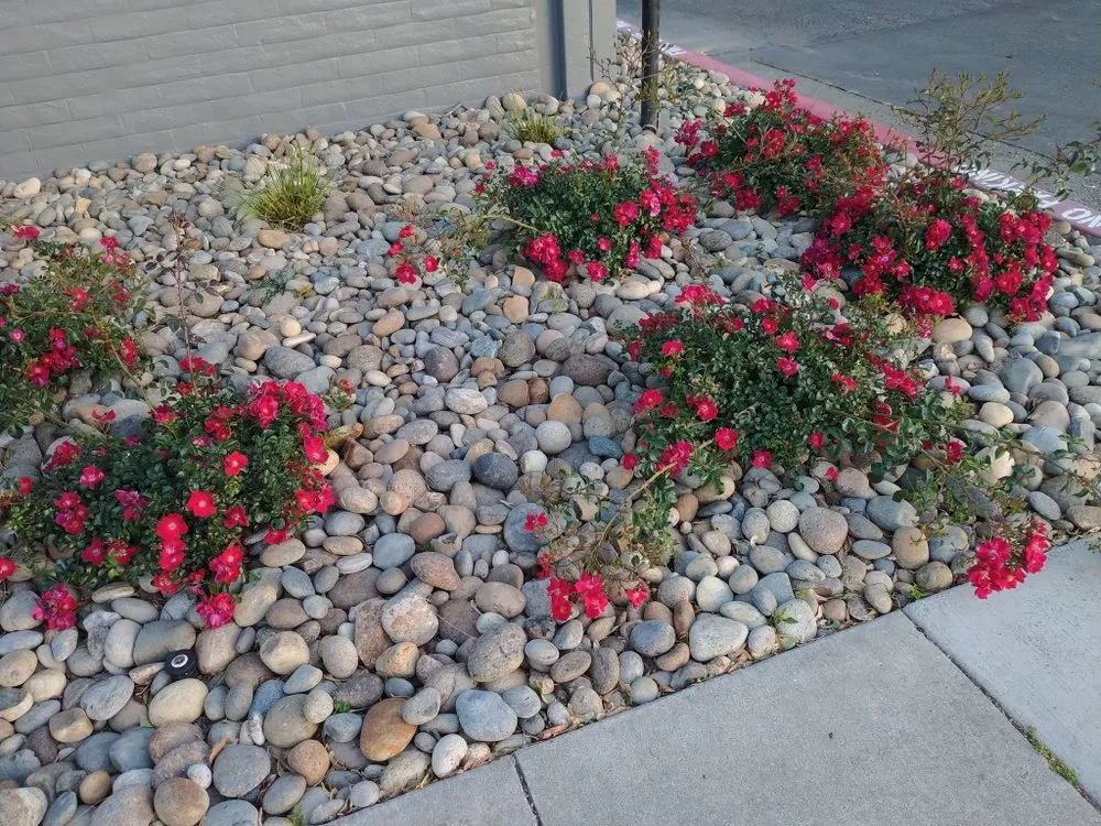 Affordable outdoor landscaping experts serving San Jose, CA - Ramos Landscaping Contractor