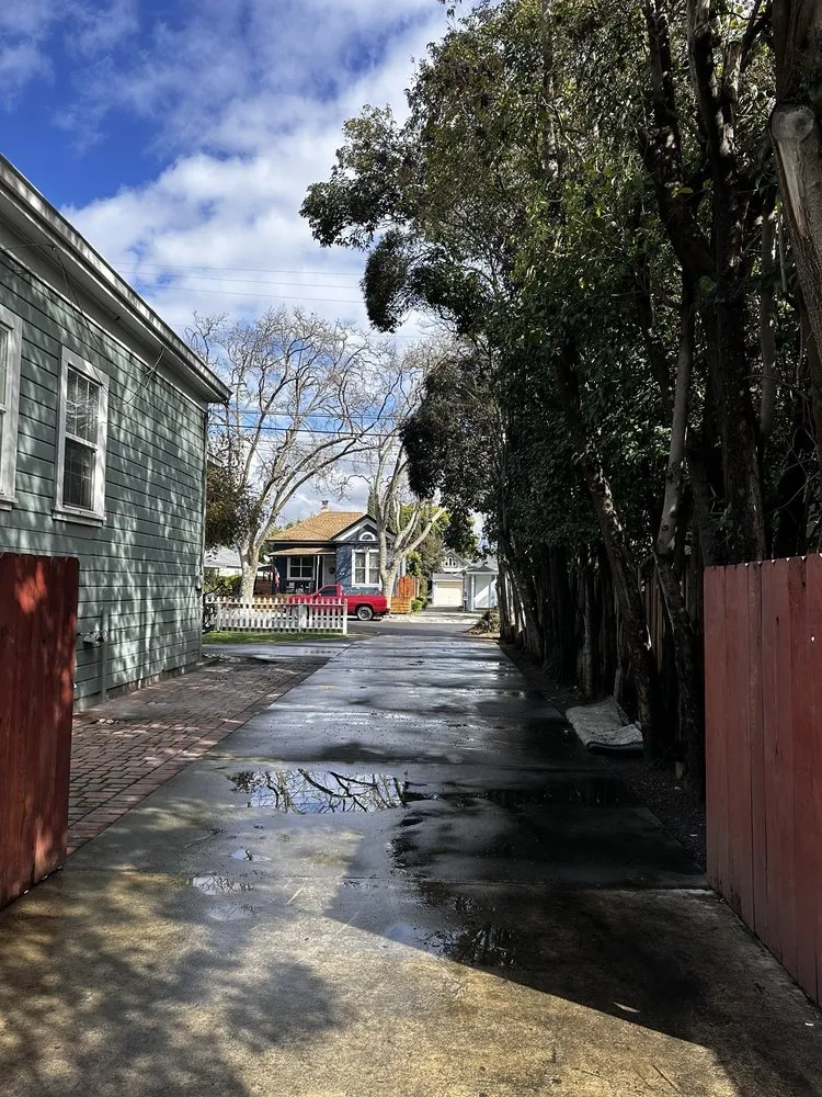 Top-rated yard cleanup service for year-round maintenance across San Jose, CA - Ramos Landscaping Contractor