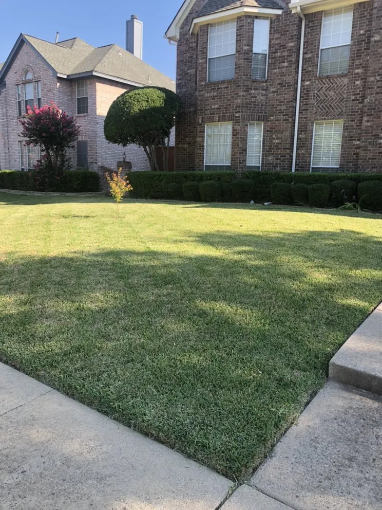 Reliable landscaping services in Dallas, TX by Ramos Landscaping