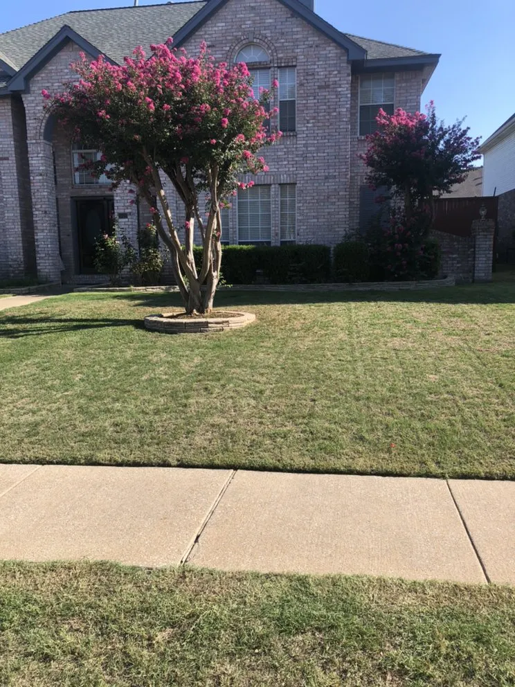 Local landscape installation near you across Dallas, TX - Ramos Landscaping