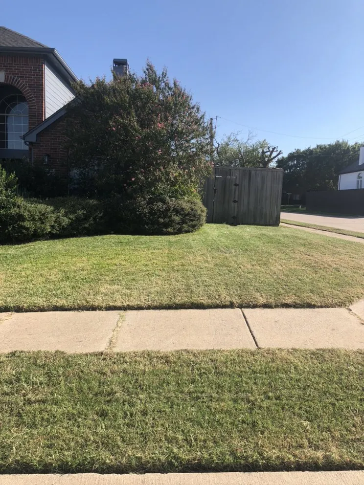 Reliable lawn care service in Dallas, TX - Ramos Landscaping