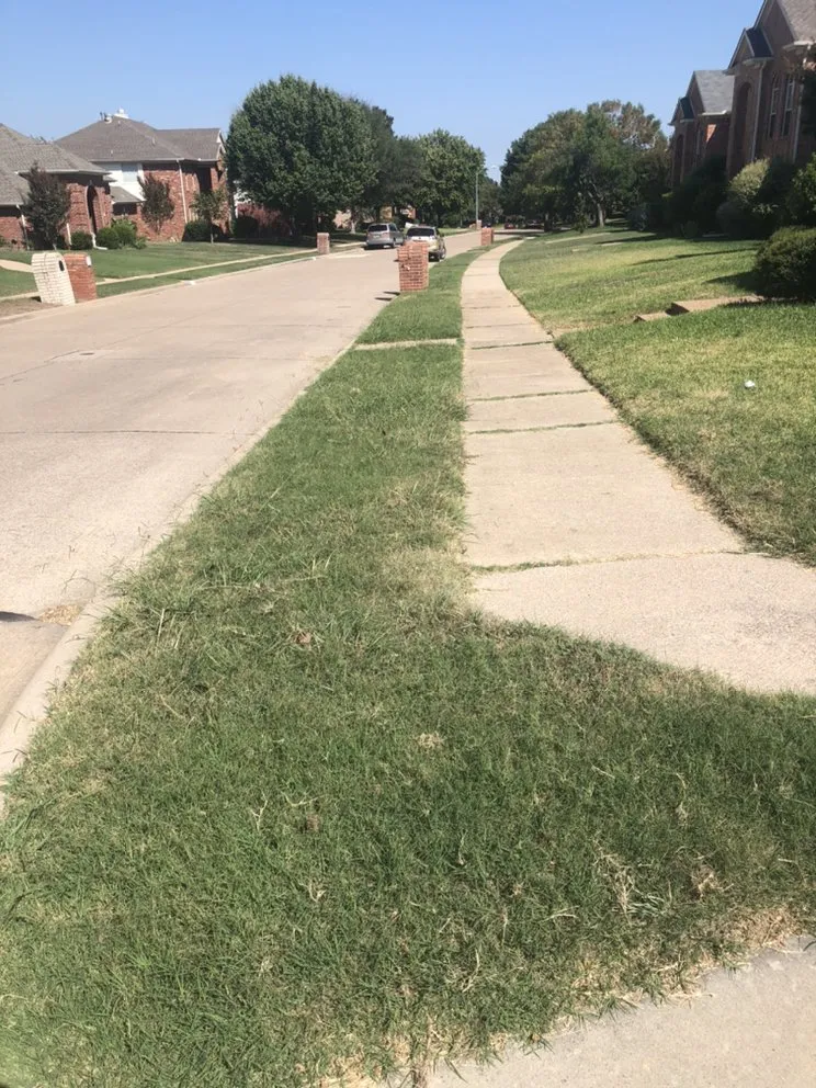 Reliable yard cleanup service for outdoor upgrades across Dallas, TX - Ramos Landscaping