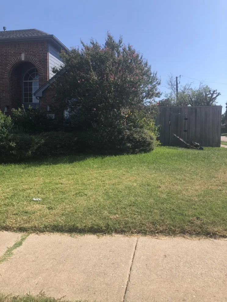 Top-rated yard cleanup service experts serving Dallas, TX - Ramos Landscaping