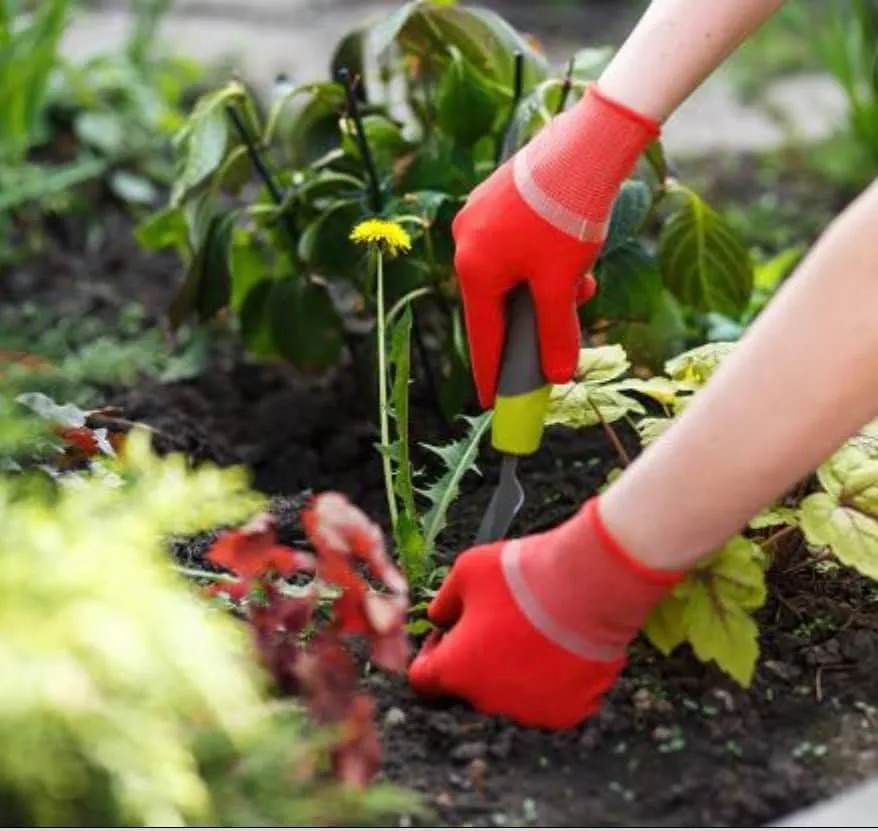 Local landscaping services in Trenton, NJ - Ramos Landscaping Design