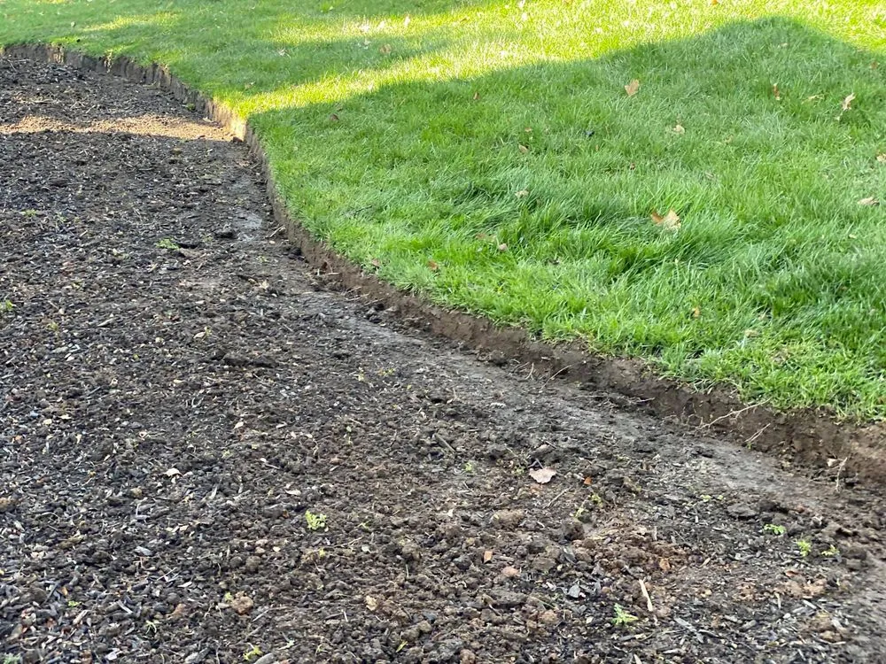 Affordable yard cleanup service near you in Trenton, NJ by Ramos Landscaping Design