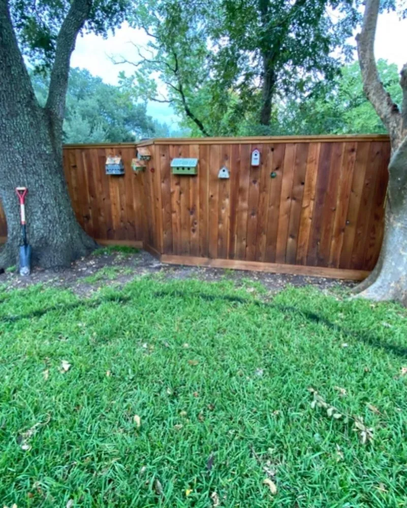 Professional residential landscaping with custom design in Houston, TX by Ramos Landscaping