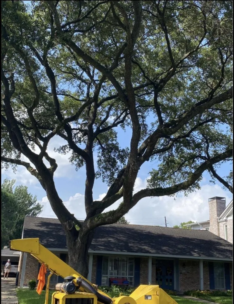 Trusted lawn care service in Houston, TX - Ramos Landscaping