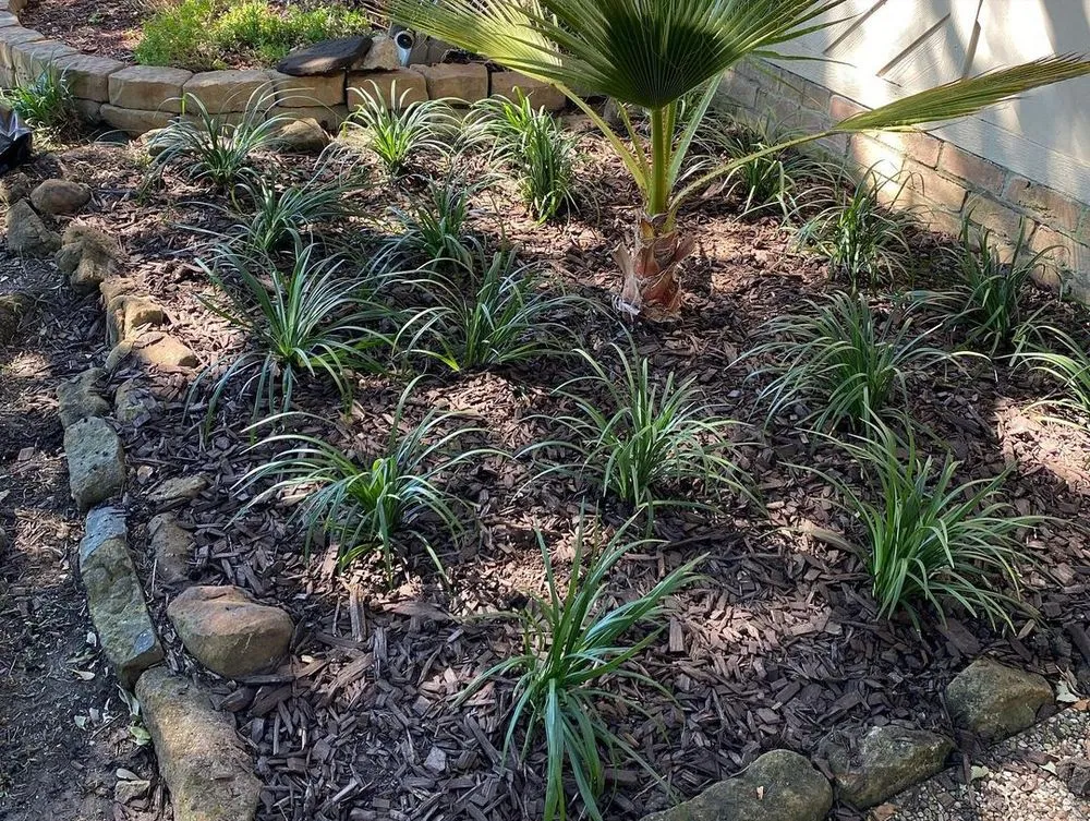Reliable yard maintenance for outdoor upgrades in Houston, TX by Ramos Landscaping