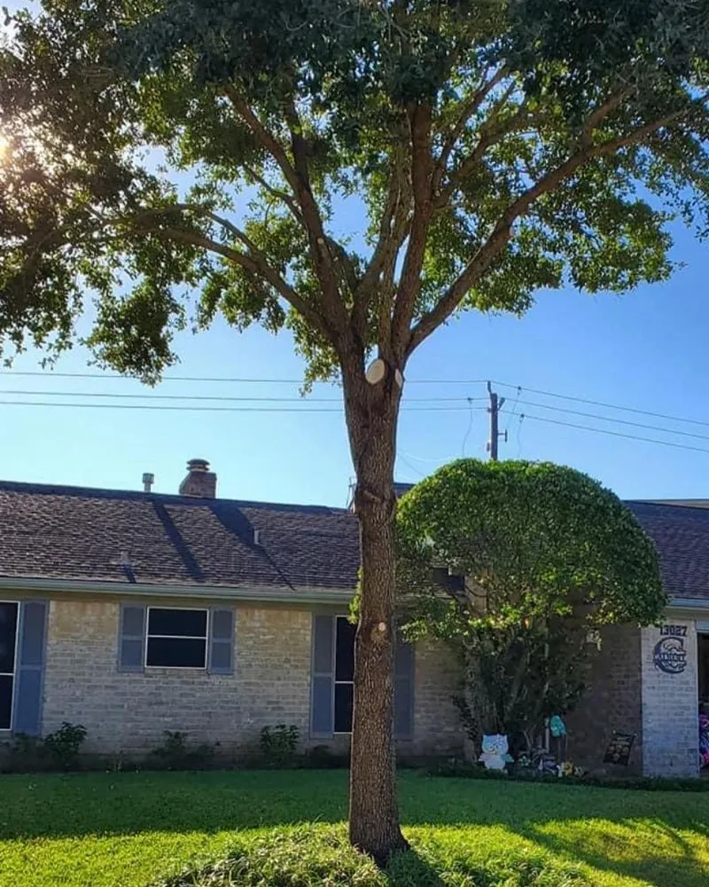 Custom outdoor landscaping for beautiful yards across Houston, TX - Ramos Landscaping