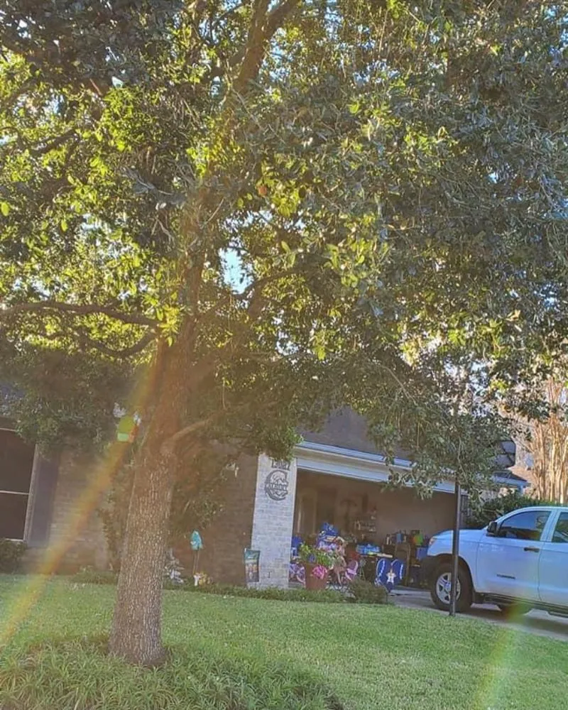 Expert landscape installation for outdoor upgrades in Houston, TX by Ramos Landscaping