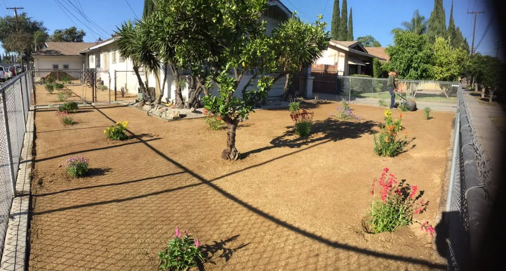 Affordable outdoor landscaping near you in Los Angeles, CA by Ramos Landscaping