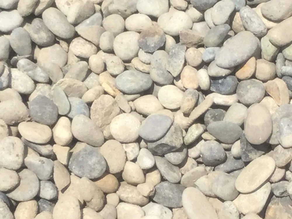 Trusted lawn mowing service in Los Angeles, CA by Ramos Landscaping