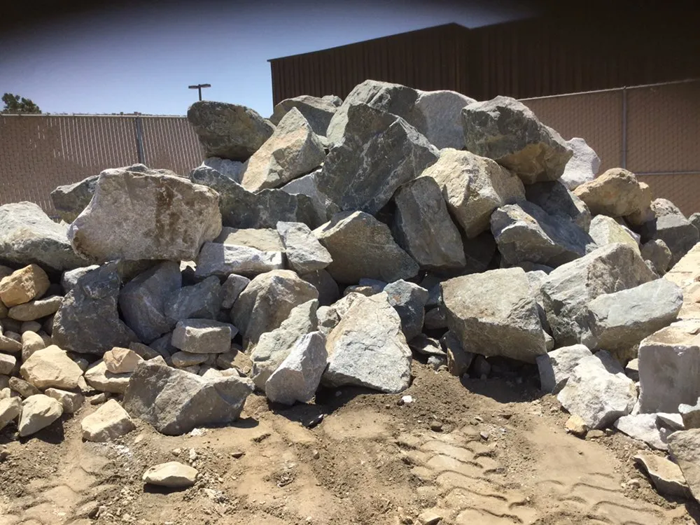 Professional yard cleanup service for residential properties across Los Angeles, CA - Ramos Landscaping