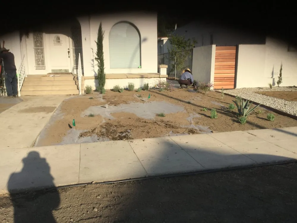 Custom yard maintenance in Los Angeles, CA by Ramos Landscaping