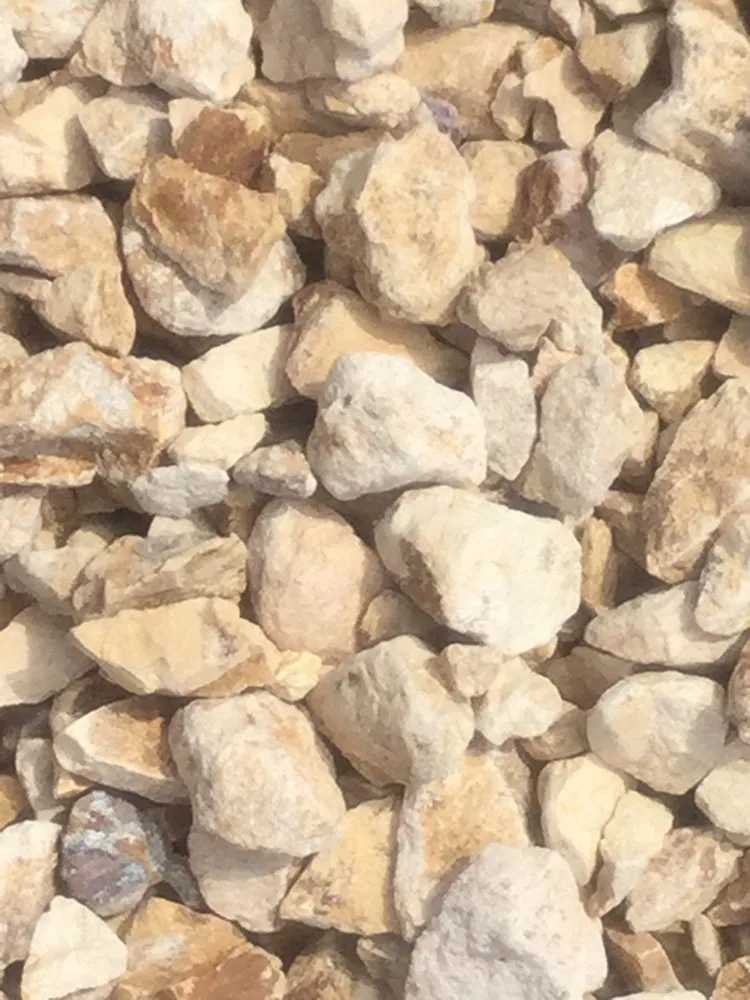 Professional landscape installation for year-round maintenance in Los Angeles, CA by Ramos Landscaping