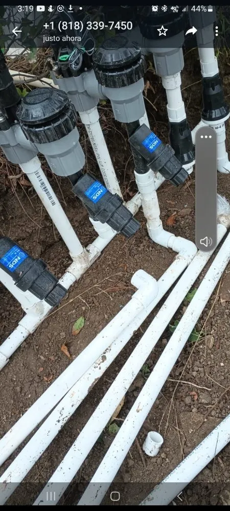 Affordable yard cleanup service for beautiful yards in Melbourne, FL by Ramos Landscaping