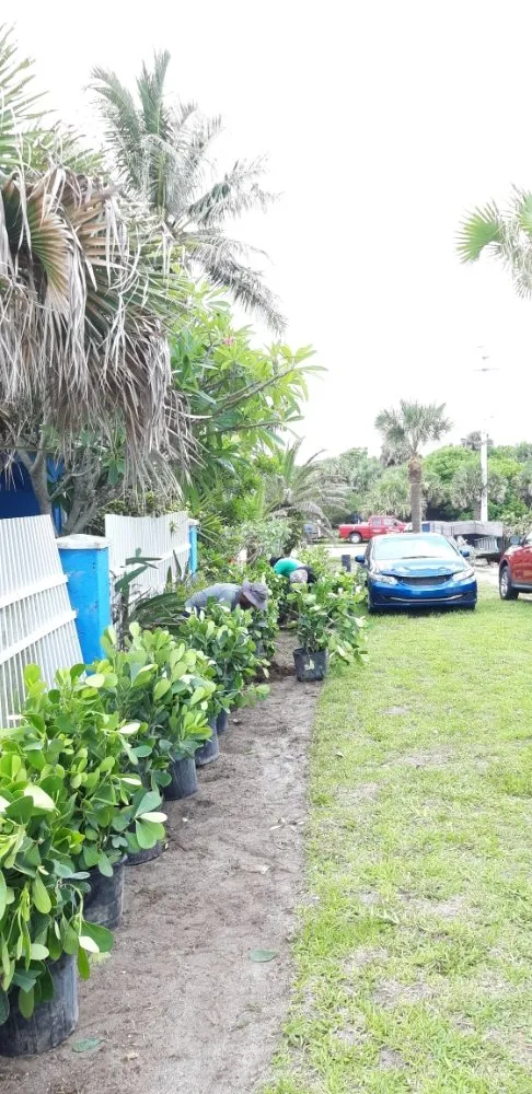 Expert yard maintenance near you across Melbourne, FL - Ramos Landscaping