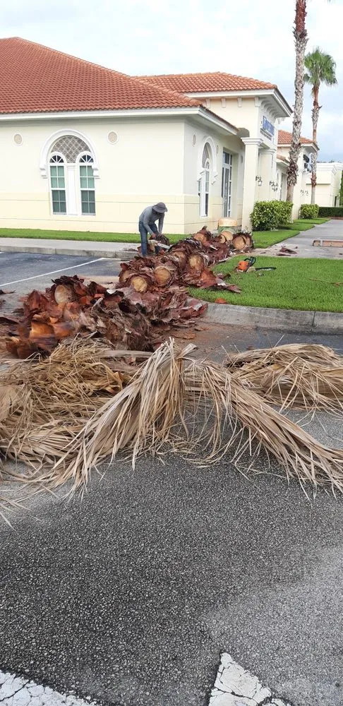 Top-rated yard cleanup service for homes across Melbourne, FL - Ramos Landscaping