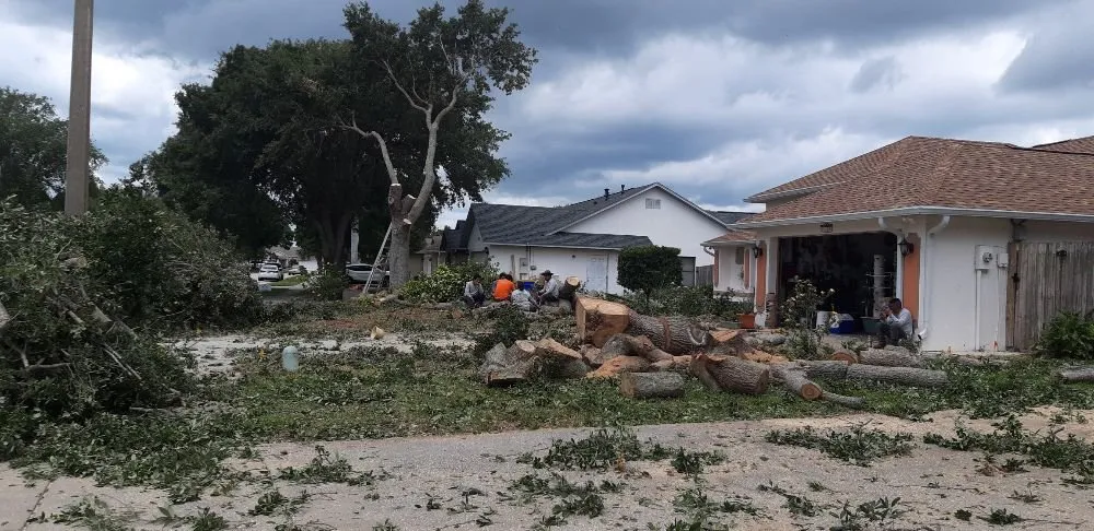 Custom lawn care service for year-round maintenance across Melbourne, FL - Ramos Landscaping