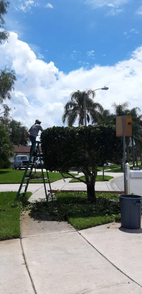 Top-rated residential landscaping in Melbourne, FL - Ramos Landscaping