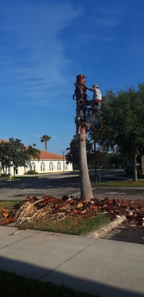 Custom landscaping services in Melbourne, FL by Ramos Landscaping