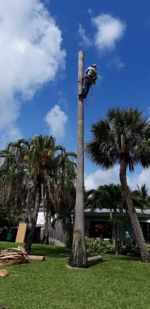 Local lawn mowing service in Melbourne, FL by Ramos Landscaping