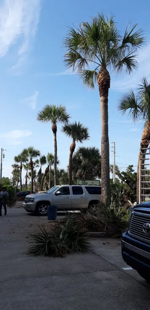 Reliable landscape installation with custom design across Melbourne, FL - Ramos Landscaping