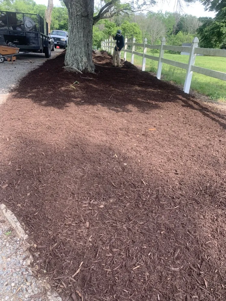 Reliable landscape installation for homes across Montpelier, VA - Ramos Landscaping