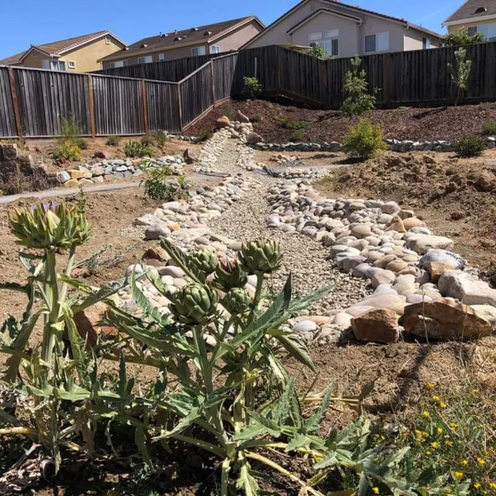 Top-rated lawn care service in San Leandro, CA - Ramos Landscaping