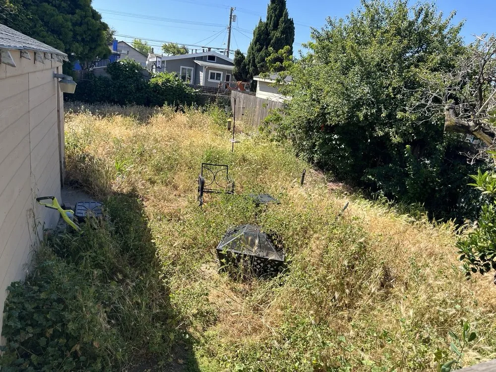 Professional outdoor landscaping in San Leandro, CA by Ramos Landscaping