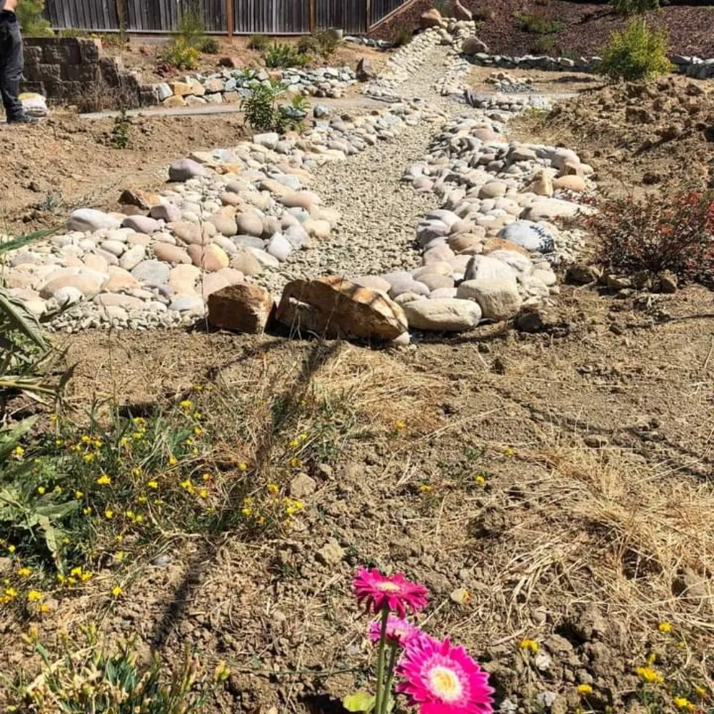 Trusted yard cleanup service in San Leandro, CA - Ramos Landscaping