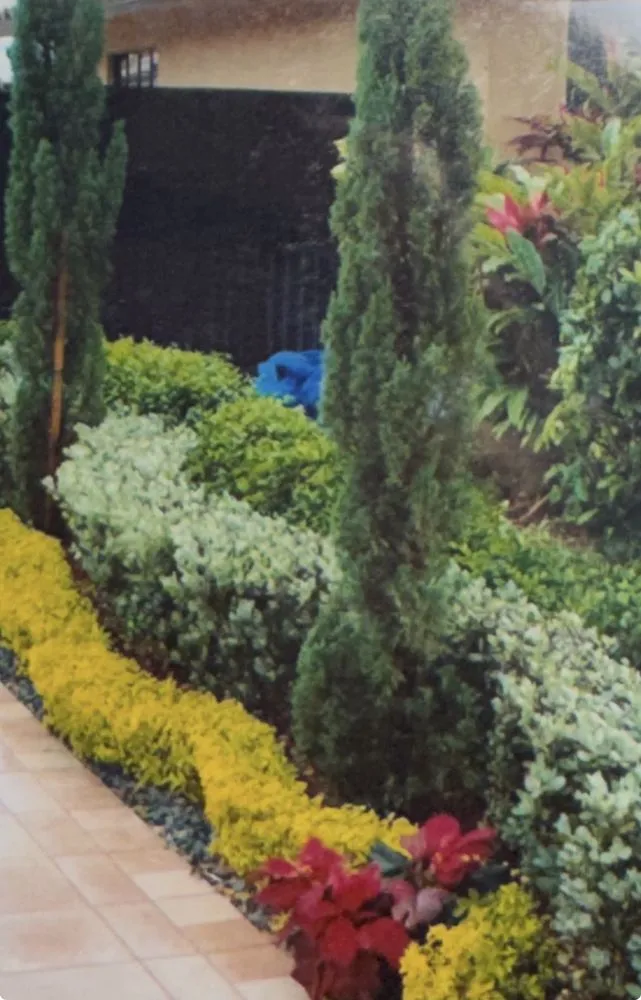 Expert yard maintenance in Miami Gardens, FL - Ramos Landscaping Services