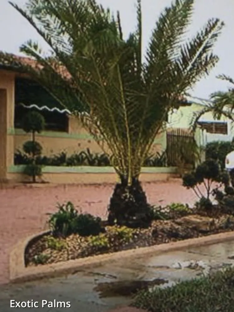 Local landscape installation in Miami Gardens, FL by Ramos Landscaping Services