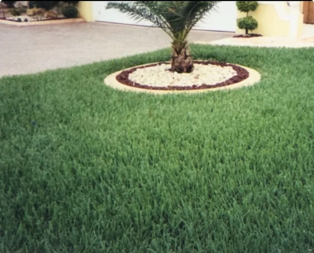 Trusted yard cleanup service in Miami Gardens, FL - Ramos Landscaping Services